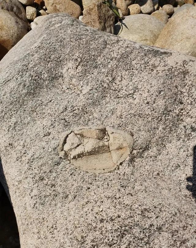 人跡罕至！浙江溫州永嘉這里有條花崗巖石河、平板溪